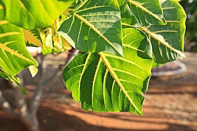 《归唐》制作人胡志鹏：求别说村里又一个大学生了