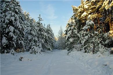 回合制卡牌战术游戏《出牌吧！魂之勇者》现已在Steam平台推出抢先体验版